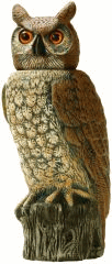 Dalen Rho-4 Rotating-Head Owl