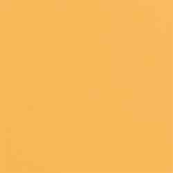 Select Series Lights Optional Colored Lens (Amber) (image for) Select Series Lights Optional Colored Lens (Amber)