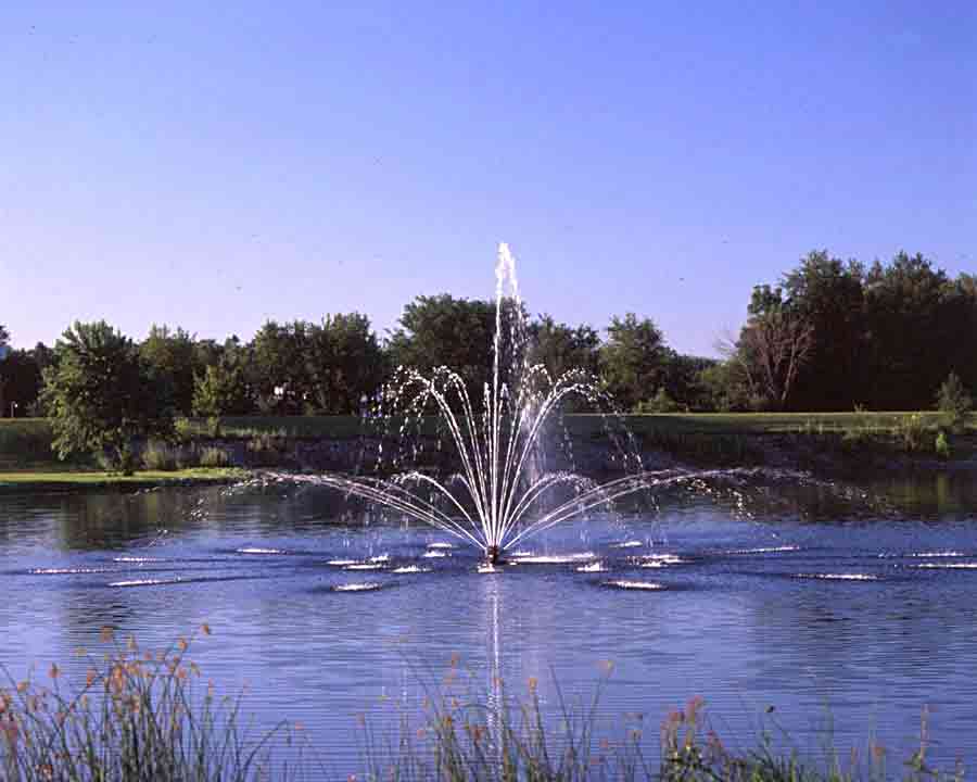 (image for) Aqua Control Tiara 1hp 1ph 230v 60hz Vert