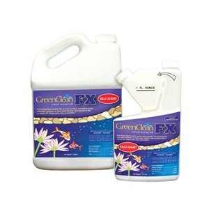 GreenClean FX Liquid Algaecide 1 Gallon