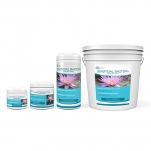 (image for) Beneficial Bacteria Concentrate