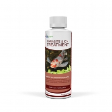 (image for) Aquascape Parasite & Ich Treatment (Liquid) - 8 oz / 236 ml