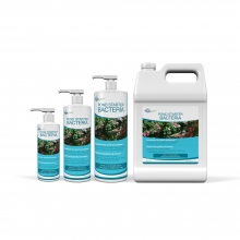 (image for) Pond Starter Bacteria