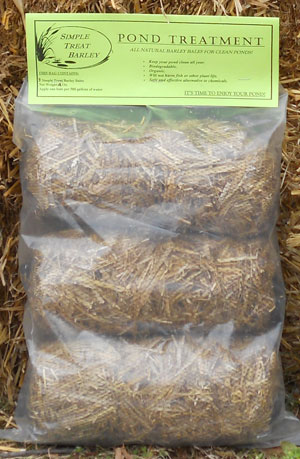 Simple Treat Barley- All-Natural & Organic- Three 4oz Bales