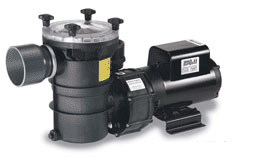 (image for) Speck 21-8034BS 6 HP Self Priming w/ Tank