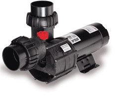 (image for) Speck 21-8033GS 4 HP Self Priming Pump